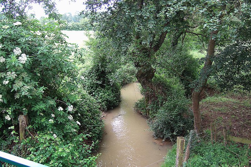 2010-06- (80).JPG